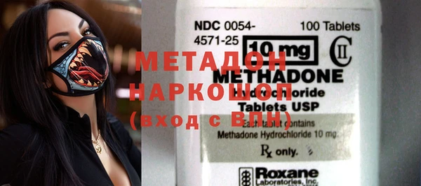 индика Осинники