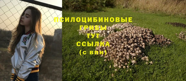 экстази Пестово