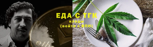 индика Осинники
