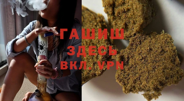 индика Осинники