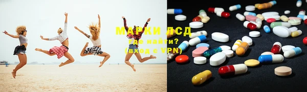 индика Осинники