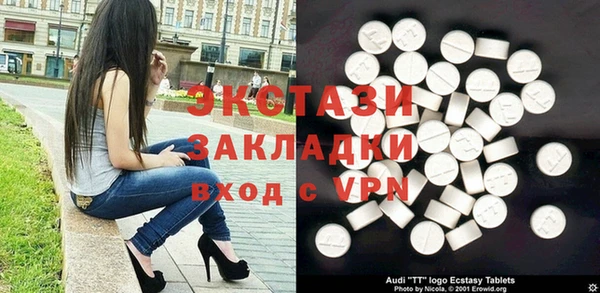 индика Осинники