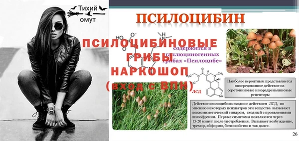 героин Няндома