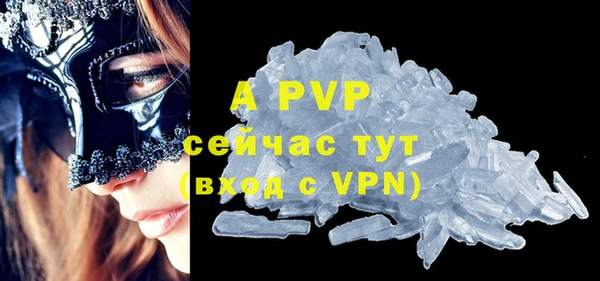 индика Осинники