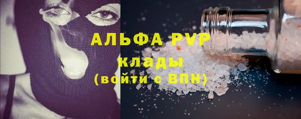 индика Осинники