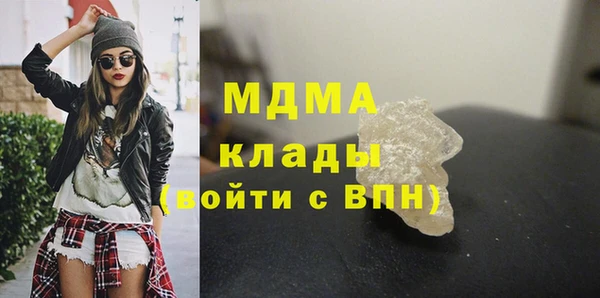 индика Осинники