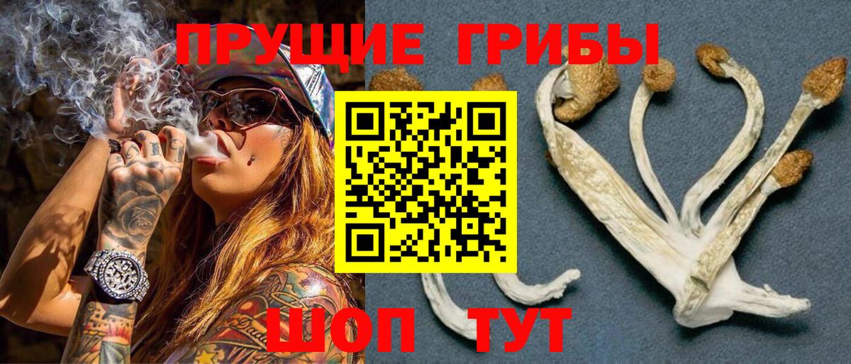 Псилоцибиновые грибы Cubensis  Галлюциногенные грибы MAGIC MUSHROOMS  Вход с VPN  Ялта 